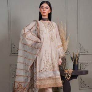 Kurti Set ( Free Size)